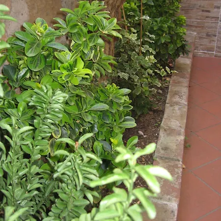 Gianicolense Suite-apartment * רומא