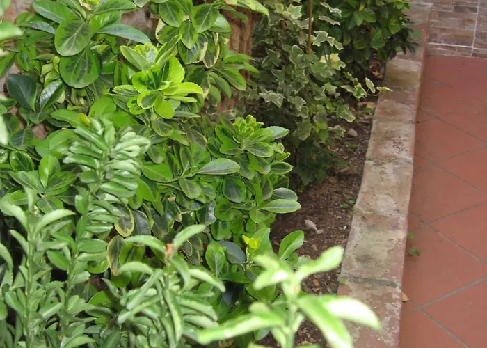 Gianicolense Suite-apartment * Řím